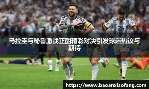 B体育官网