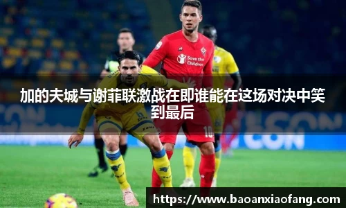 加的夫城与谢菲联激战在即谁能在这场对决中笑到最后