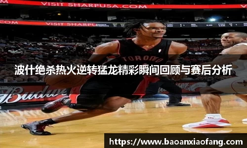 波什绝杀热火逆转猛龙精彩瞬间回顾与赛后分析