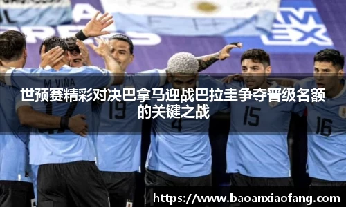 bsports官网入口