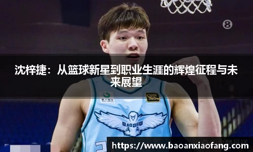 bsports官网入口