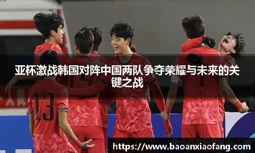 亚杯激战韩国对阵中国两队争夺荣耀与未来的关键之战