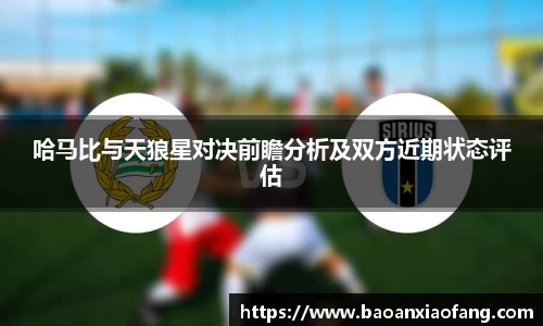 B体育官网