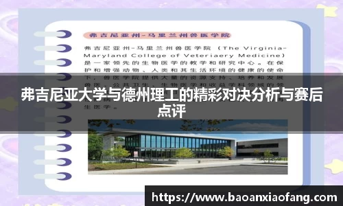 B体育bsports